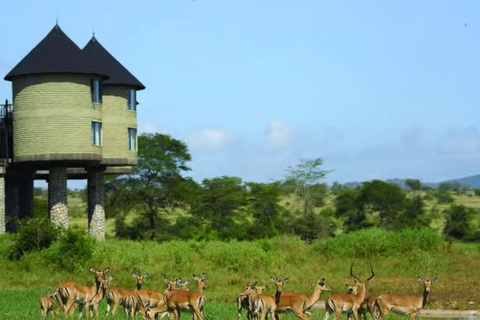2 days 1 night saltlick safari from Diani/Mombasa.