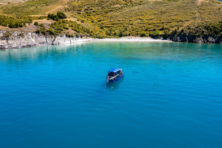 Lake Wakatipu: 3 Hour Fishing Adventure by Boat Private Tour