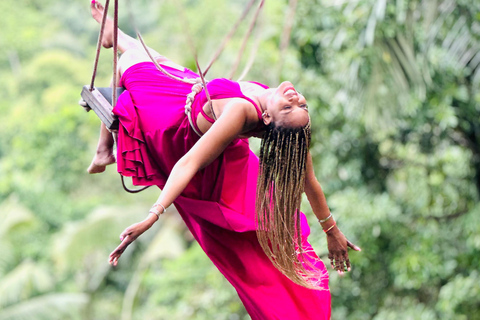 Bali: Swings, Koi Fish Photo Boat, Monkey Forest & Waterfall Private Tour all Ticket include