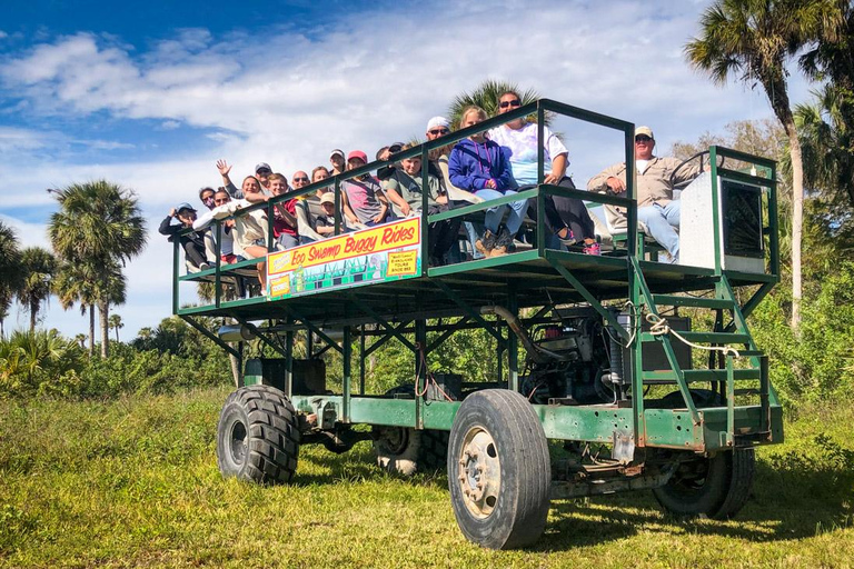 Everglades: Mangrove Maze Airboat Tour and Boardwalk Everglades: Airboat Tour, Buggy Tour, and Boardwalk