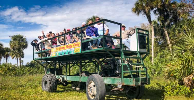 Everglades: Mangrove Maze Airboat Tour & Alligator Show | GetYourGuide