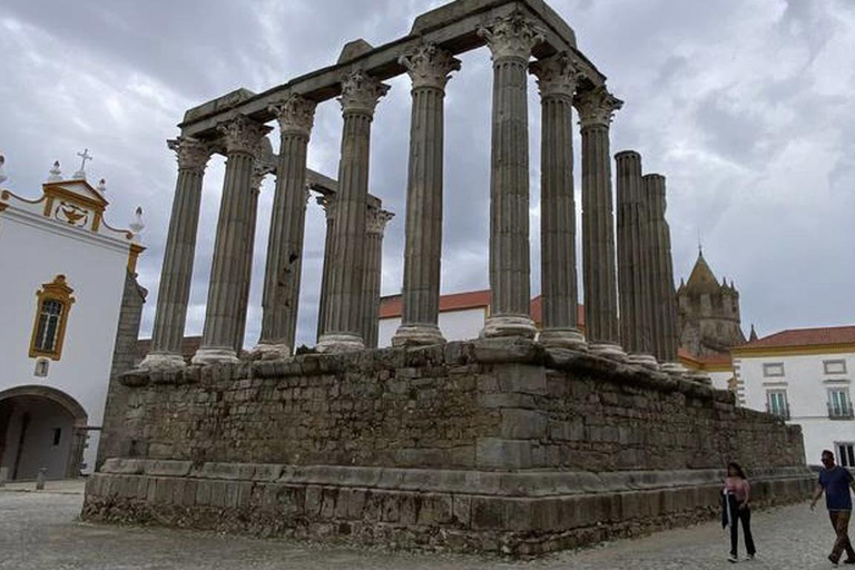 Evora, vignoble et fabrique de bouchons : Transport privé d&#039;une journée