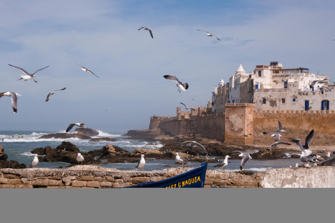 Excursion d'une journée sur la côte atlantique d'Essaouira depuis MarrakechVoyage de jour partagé