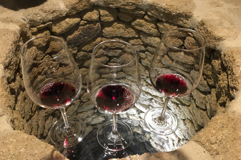 From Aix en Provence: Half-day Wine Tour in Provence Standard Option