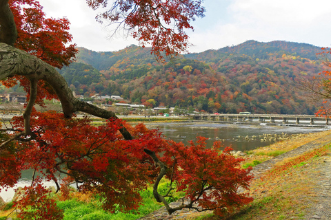 Kyoto : Visite privée d&#039;Arashiyama avec le train romantique de SaganoVisite privée