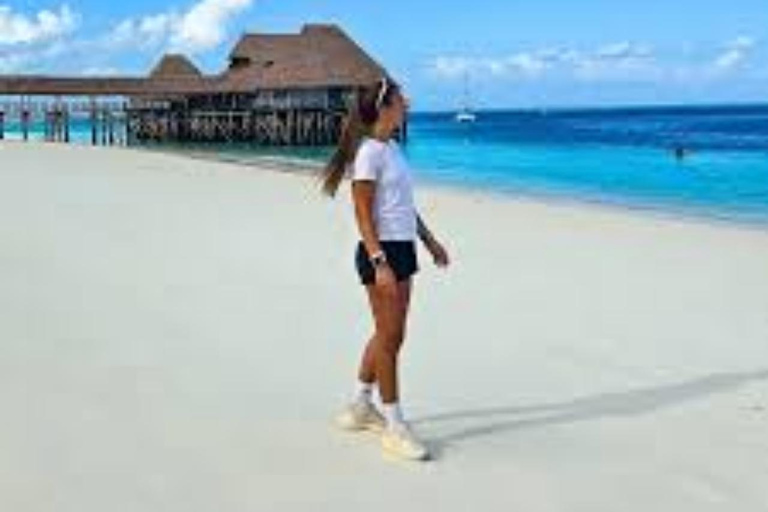 Zanzibar: Mnemba Dolphin Swim, Turtle Aquarium & Beach Trip TOUR WITHOUT HOTEL TRANSFER(PICK UP AND DROP OFF)