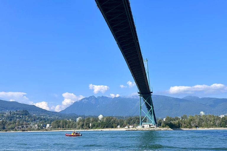 Vancouver: 90-Minute Sightseeing Boat Tour with Live Guide