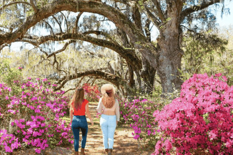 Charleston: Combo de tour de la ciudad histórica y Plantación MagnoliaCharleston Visita a la Plantación de Magnolia y a la Ciudad Histórica