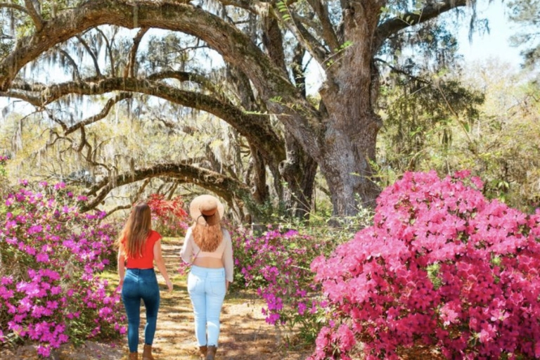 Charleston: Combo de tour de la ciudad histórica y Plantación MagnoliaCharleston Visita a la Plantación de Magnolia y a la Ciudad Histórica
