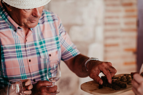 Albi: Tour gastronómico e pelo mercado com degustações e passeio histórico