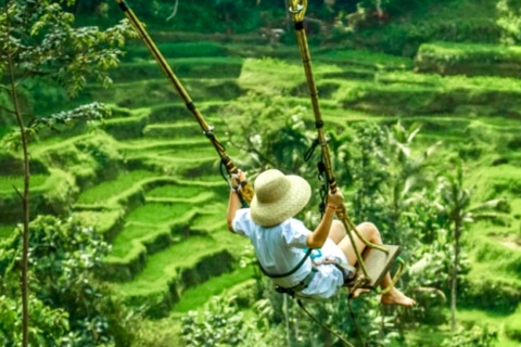 Bali: Ubud Monkey Forest, Rice Terraces, Temple, Waterfall Option : Tour Exclude Entrance Tickets