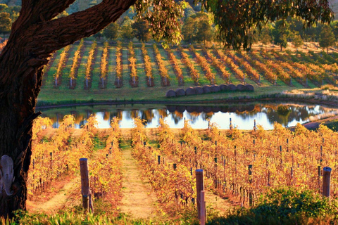 Discover Hidden Wineries in Melbourne Boutique Wine Series
