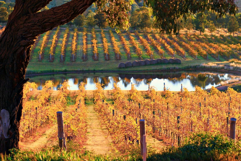 Discover Hidden Wineries in Melbourne Boutique Wine Series