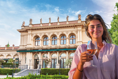 Vienna: Welcome Card – public transport ticket & discounts at top attractions Vienna Welcome Card 72 hours