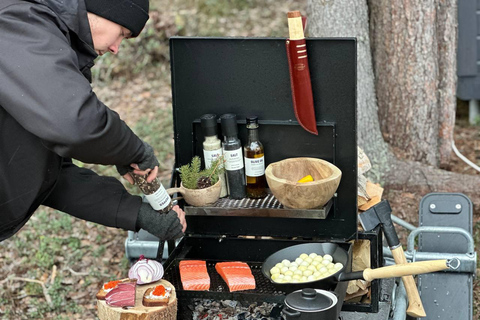 Helsinki: Buggy Ride, Reindeer Farm Visit, and Picnic