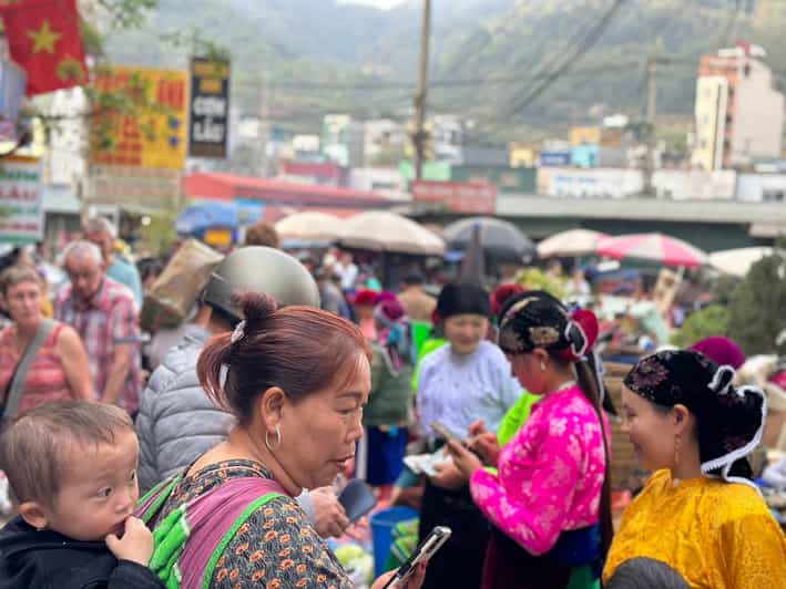 Galería de fotos para redes