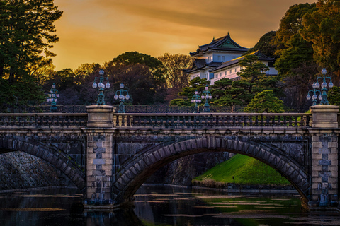 Tokio: Tour privado de un día con chófer inglés