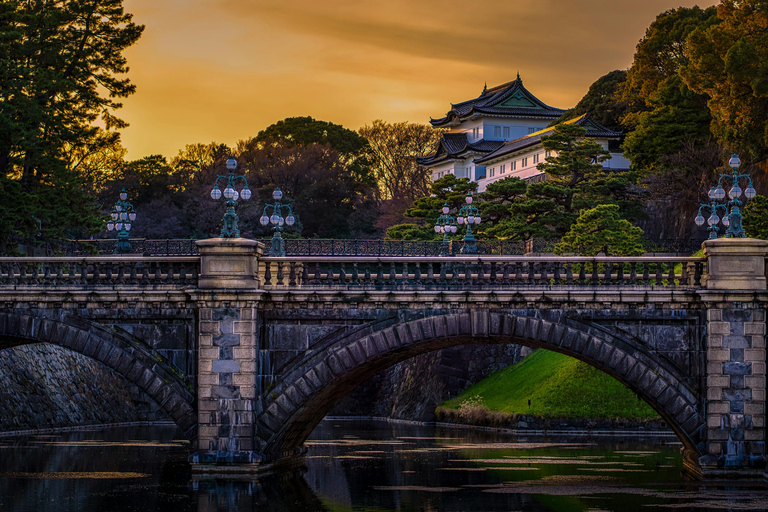 Tokio: Eendaagse Charter privétour met Engelse chauffeur