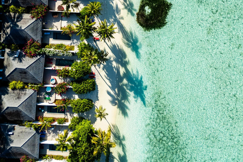 Zanzibar : séance photo privée avec un photographe professionnel