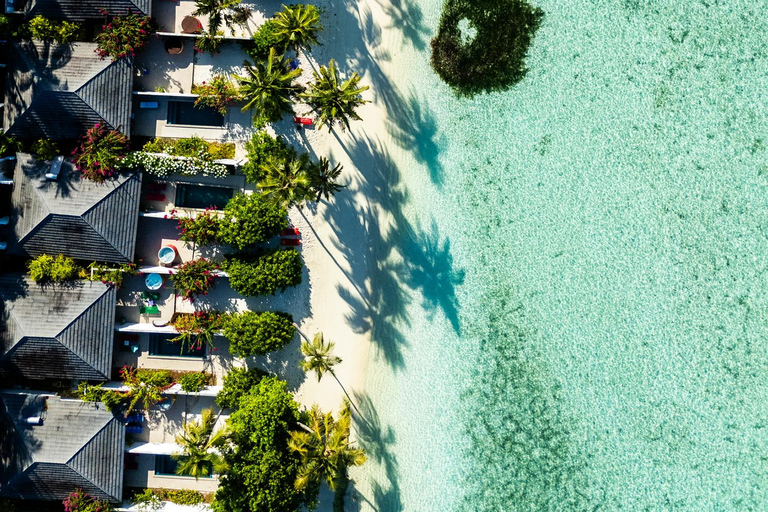Zanzibar : séance photo privée avec un photographe professionnel