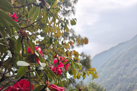 Kathmandu: Shivapuri National Park Guided Day Hike