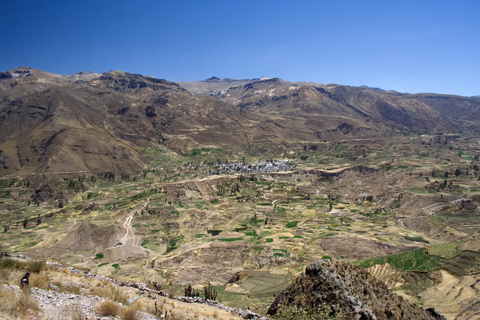 AREQUIPA: COLCA CANYON 2 GIORNI E NOTTE