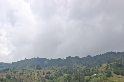 From Addis Ababa: Wonchi Crater Lake with Boat Ride