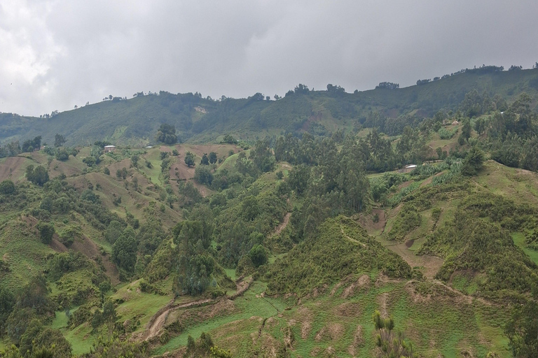From Addis Ababa: Wonchi Crater Lake with Boat Ride