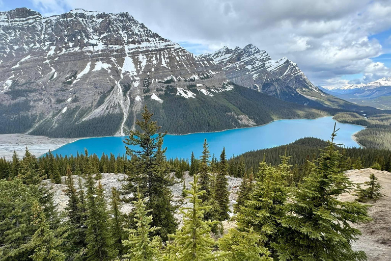 Calgary Banff: Columbia Icefield, Skywalk e tour dei laghiCalgary Banff: Columbia Icefield, Skywalk e tour di un giorno ai laghi