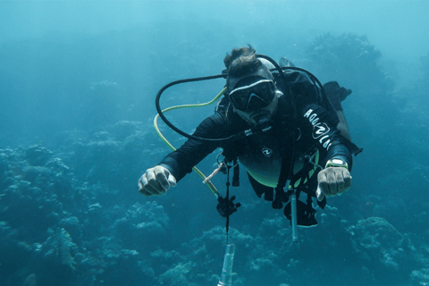 Esplora le profondità di Aqaba: Tour di immersioni subacquee con servizio di prelievo in hotelScopri le profondità di Aqaba: Tour di immersione subacquea