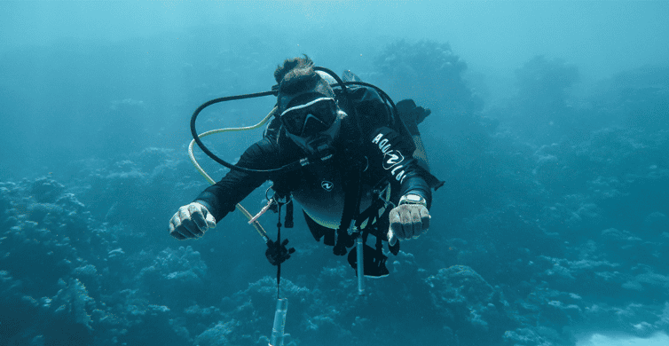 Explore Aqaba's Depths: Scuba Diving Tour, with Hotel Pickup | GetYourGuide