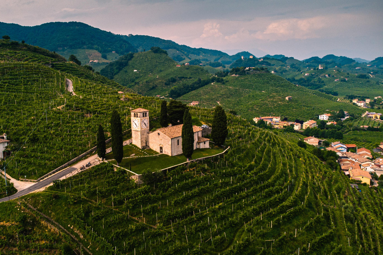 Da Venezia: Escursione di un giorno sulle Dolomiti e le Colline del Prosecco con il vino