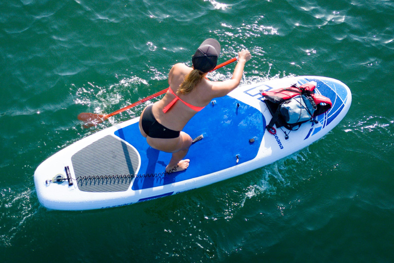 Cartagena: Sunrise Paddleboarding Tour with Photos & Videos