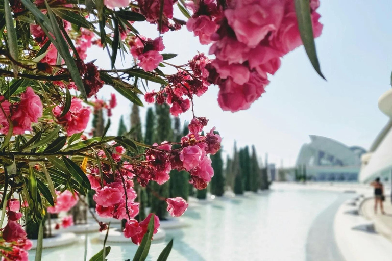From Alicante: Day Trip to Valencia and the Albufera with Boat Ride From Alicante in English