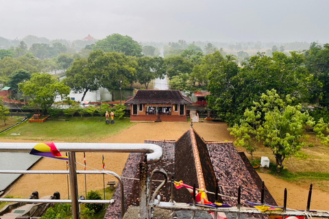 From Kandy: Anuradhapura Day Trip with Lunch
