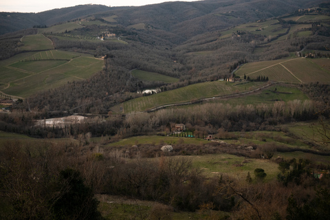 Von Florenz aus: Chianti-Hügel Halbtagestour mit WeinverkostungWeinkeller-Tour auf Englisch