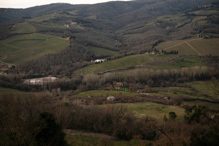 From Florence: Chianti Hills Half-Day Tour with Wine Tasting Winery Tour in Italian