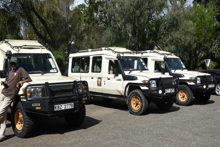 Safari clásico de 6 días por Kenia desde Nairobi