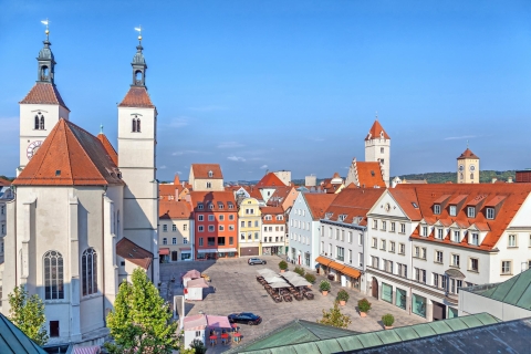 Regensburg: Express Walk with a Local in 60 minutes