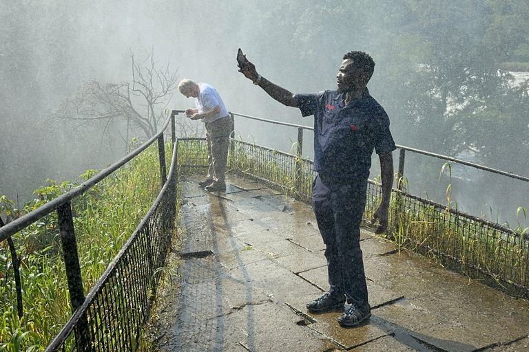 Viagem de 11 dias para fazeres uma caminhada com chimpanzés, seguires os gorilas e veres a vida selvagem