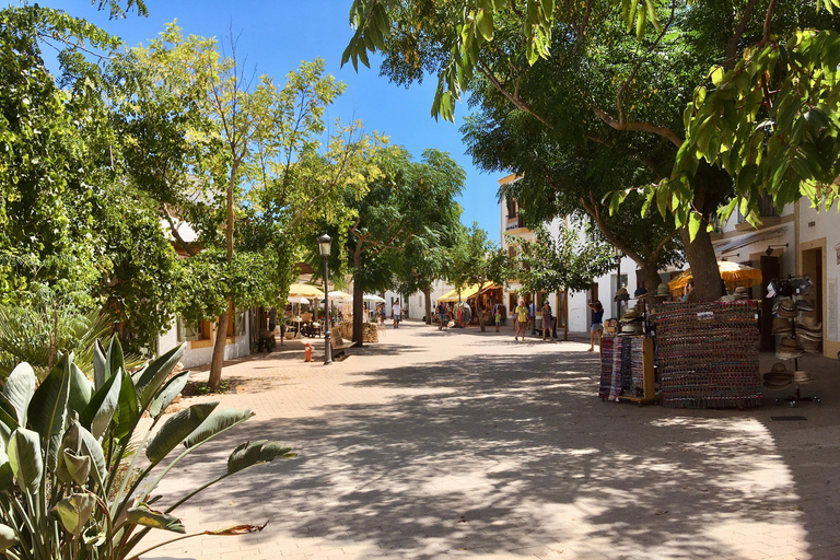 Excursion à Ibiza - Visite privéeExcursion à terre Ibiza - Visite privée