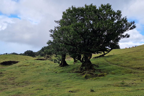 Private Minubus 8 seater