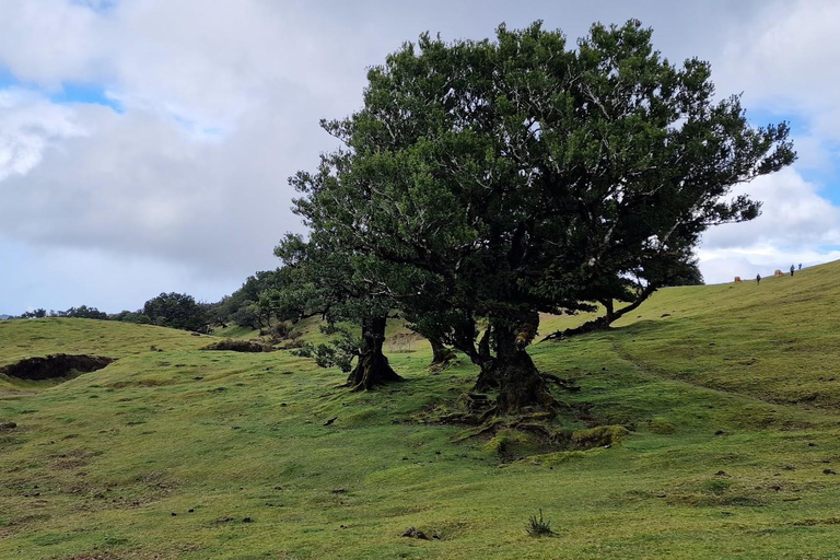 Private Minubus 8 seater