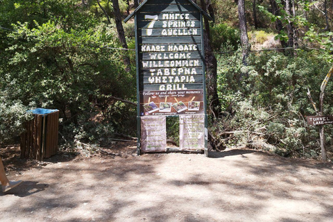 Excursión privada de un día a Rodas, Lindos y Siete Manantiales