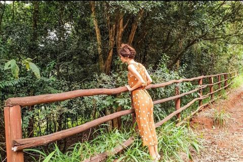 Karura guided walking tour