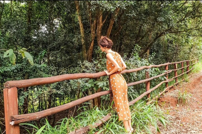 Karura guided walking tour