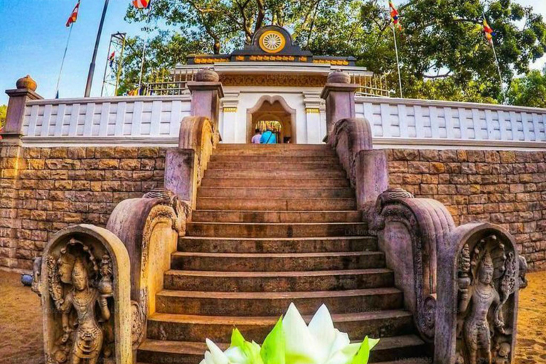 Kandy: Anuradhapura & Yapahuwa Kingdoms Day Trip