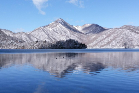From Tokyo: Nikko UNESCO Shrine and Nature View Day Tour From Tokyo