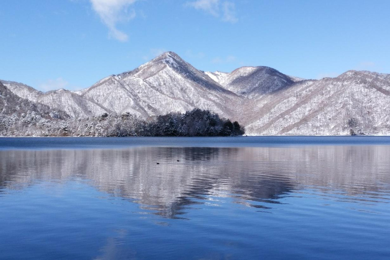From Tokyo: Nikko UNESCO Shrine and Nature View Day Tour From Tokyo