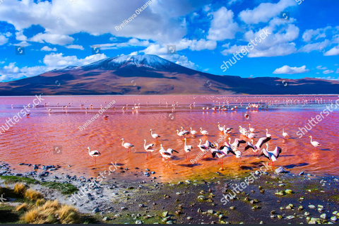 3D Tour Salar Uyuni-Lagunas Colores +Sonnenuntergang+Spiegeleffekt